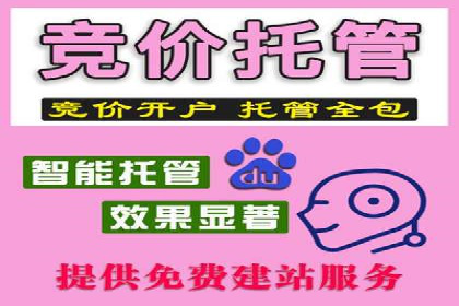 百度竞价托管：实战案例展示
